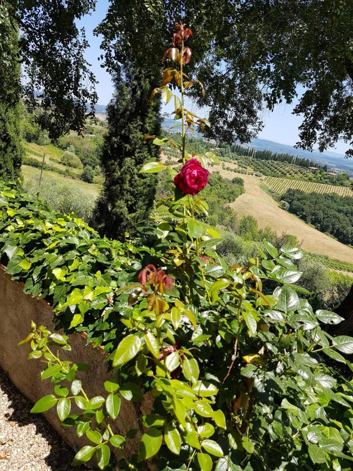 Il Leccio - Casa Toscana San Gimignano Gambassi Terme Exteriör bild