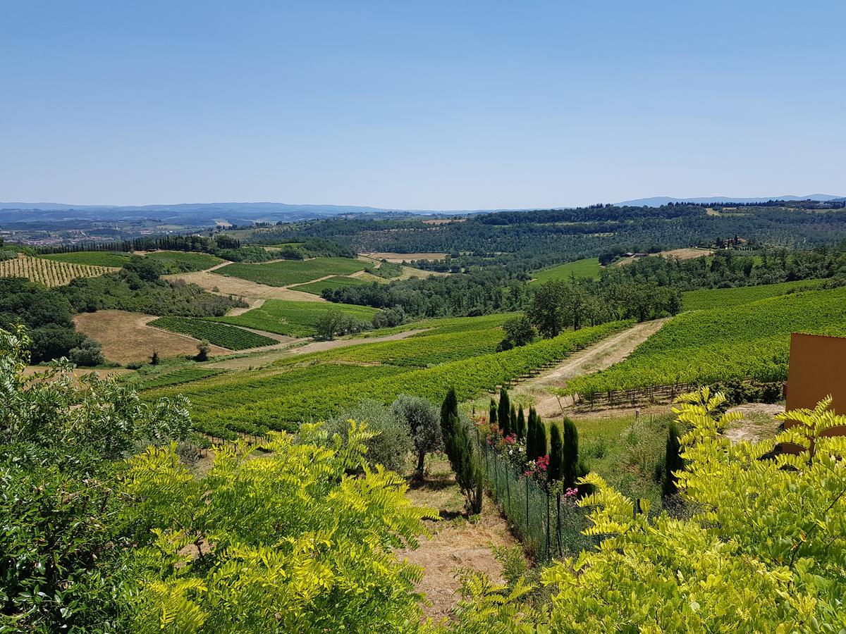 Il Leccio - Casa Toscana San Gimignano Gambassi Terme Exteriör bild